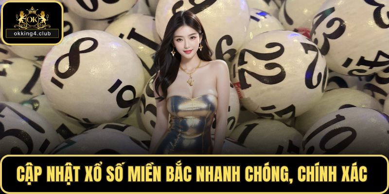 Cập nhật xổ số miền Bắc nhanh chóng, chính xác