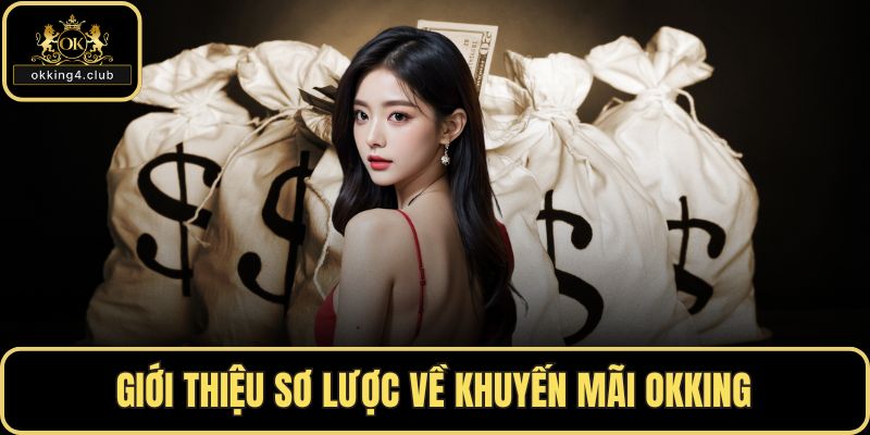 Giới thiệu sơ lược về khuyến mãi OKKING