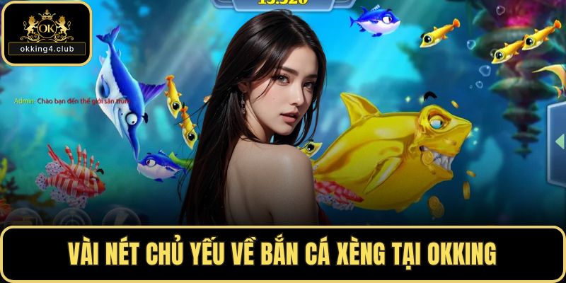 Vài nét chủ yếu về bắn cá xèng tại OKKING